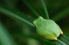 DSC_5353a
