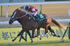 2015京都金杯 ウインフルブルーム