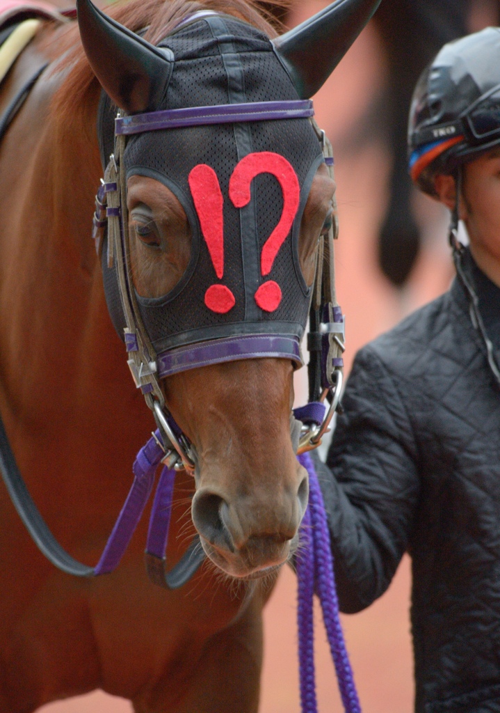 2012 三方ヶ原特別 クリビツテンギョ 