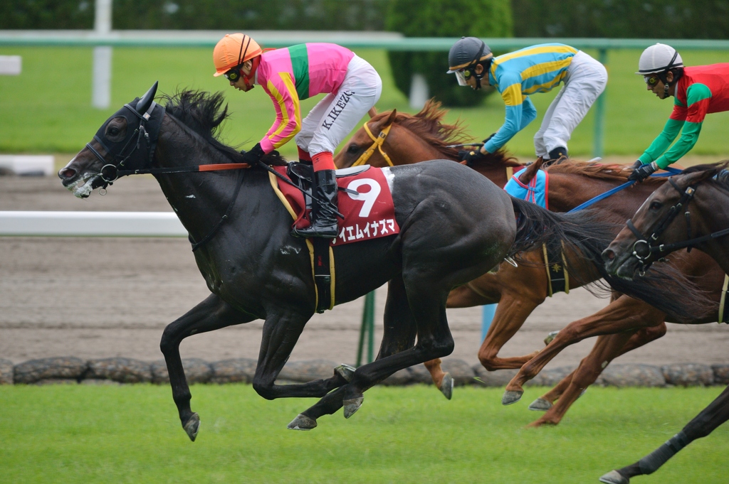 2012　デイリー杯2歳S テイエムイナズマ