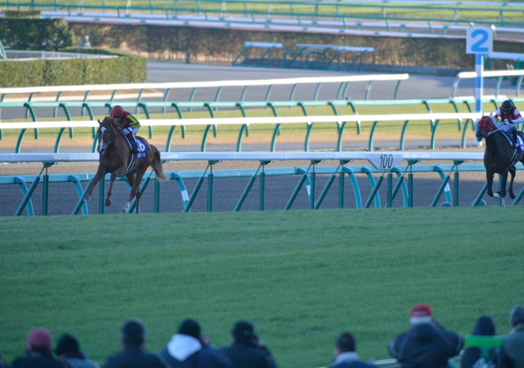 2013 有馬記念　オルフェーヴル