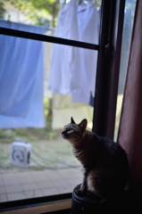 DSC_0339a