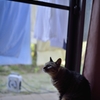 DSC_0339a