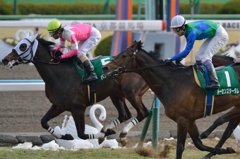 2014 きさらぎ賞　トーセンスターダム