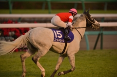 2015 有馬記念 ゴールドシップ
