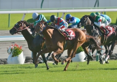 2013京都大賞典　ヒットザターゲット