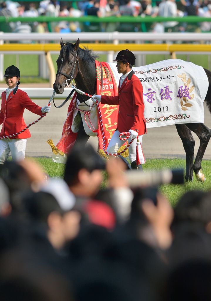 2013　東京優駿(日本ダービー)　キズナ