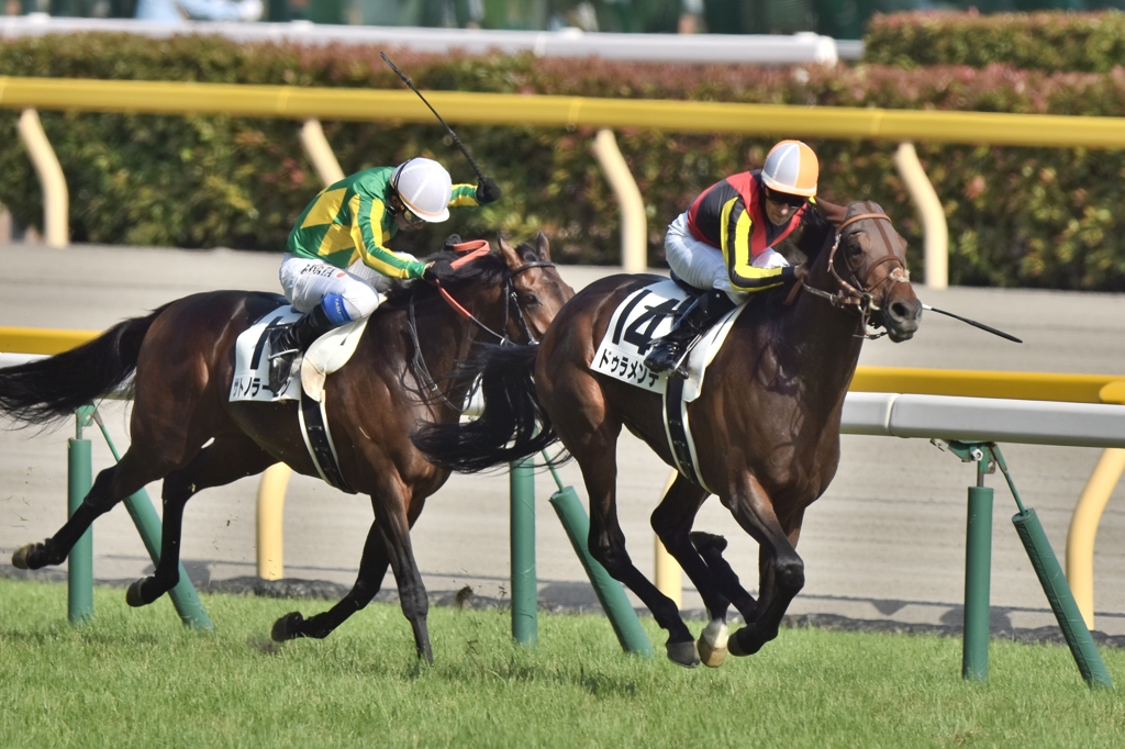 2015 日本ダービー　ドゥラメンテ