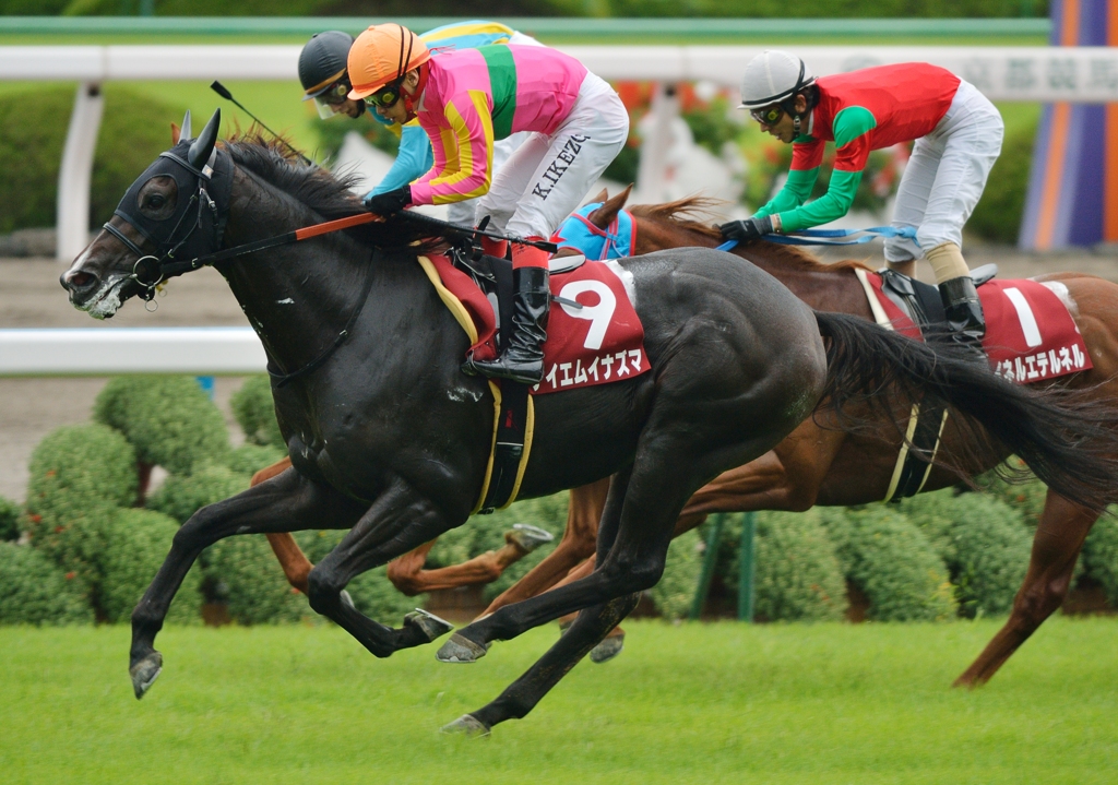 2012　デイリー杯2歳S テイエムイナズマ