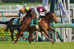 2015 中日新聞杯 ディサイファ
