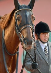 2013 東海S　ミラクルレジェンド