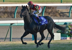 2012朝日杯FS　コディーノ