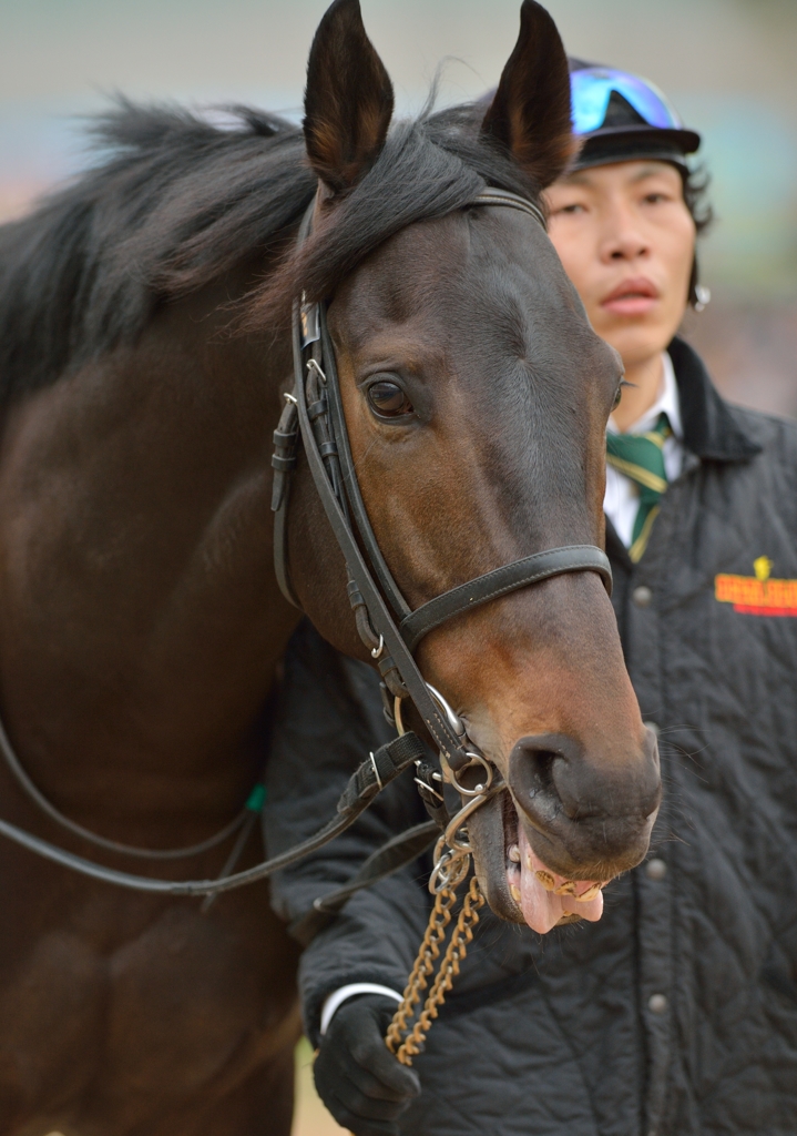 2014 京都金杯　エキストラエンド