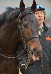 2014 京都金杯　エキストラエンド