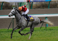 2012皐月賞　ゴールドシップ2