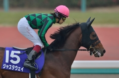 2014 有馬記念 ジャスタウェイ 