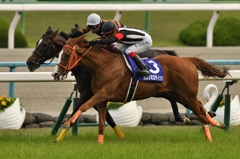 2016 天皇賞(春) キタサンブラック
