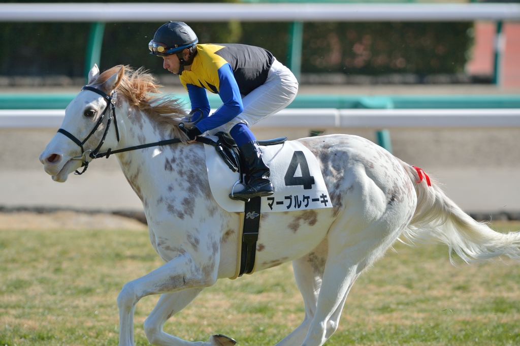 2014.1.19 メイクデビュー　マーブルケーキ
