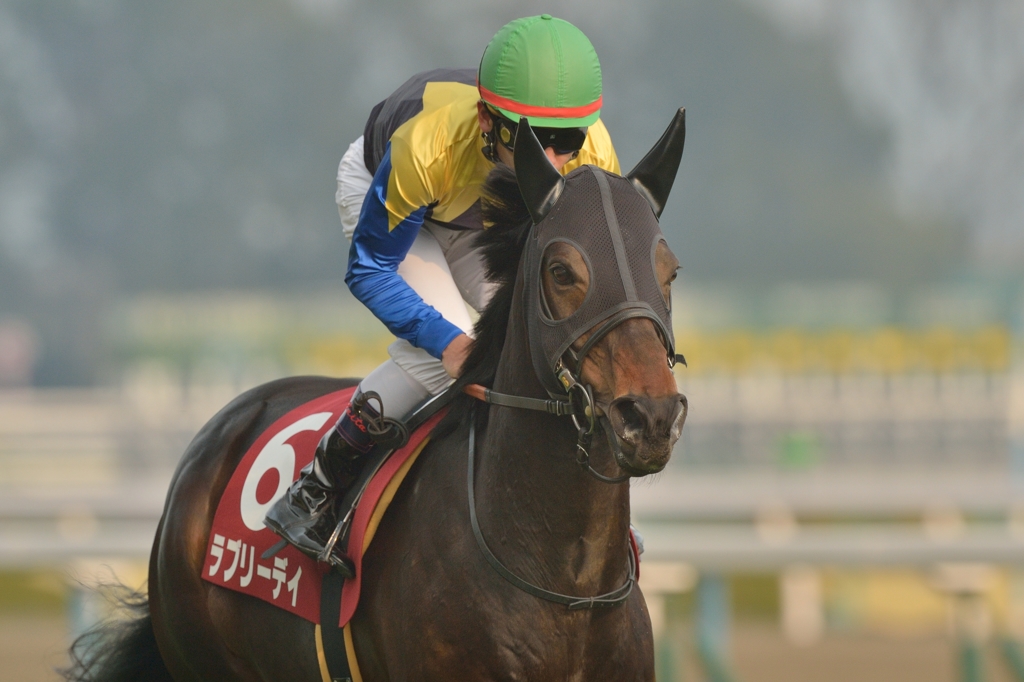 2015 京都記念　ラブリーデイ