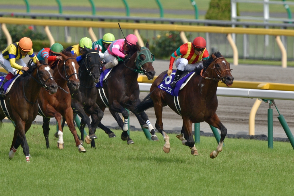 2015 安田記念 モーリス