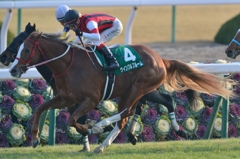 2015京都金杯 ウインフルブルーム