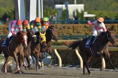 2016 フェブラリーステークス モーニン