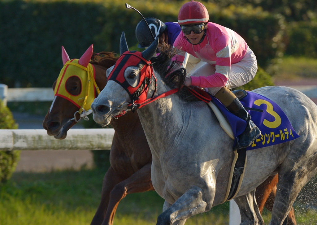 2012 笠松グランプリ　エーシンクールディ