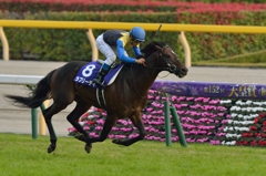 2015 天皇賞(秋) ラブリーデイ