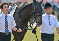 2013　東京優駿(日本ダービー)　キズナ
