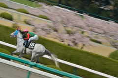 シゲルスダチ