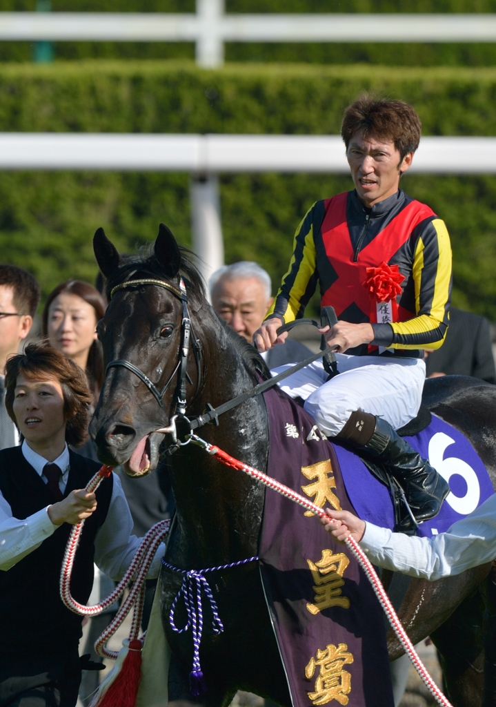 2013 天皇賞（春）　フェノーメノ