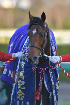 2016 有馬記念 サトノダイヤモンド