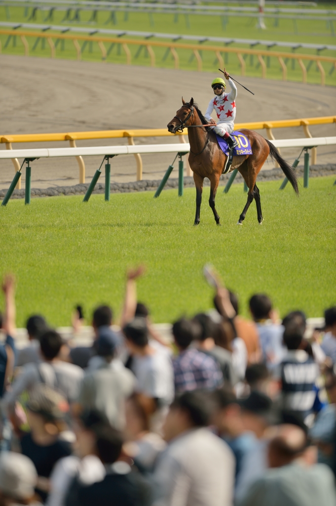 2015 オークス ミッキークイーン