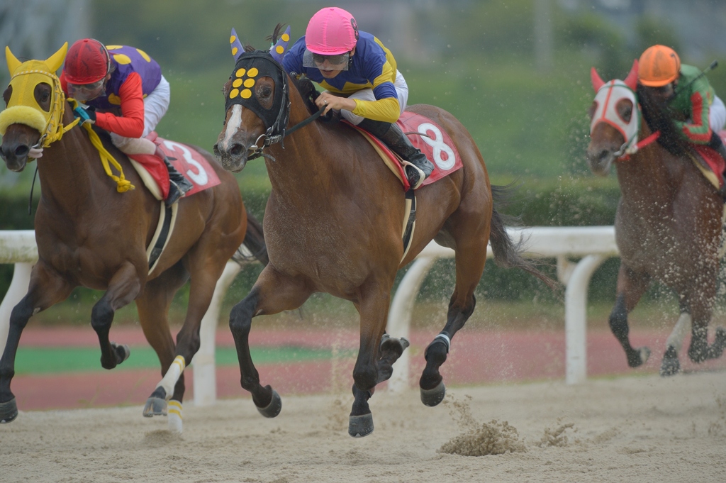 笠松競馬120831③