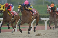 笠松競馬120831③