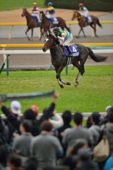 2014　ジャパンカップ　エピファネイア