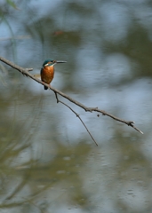 DSC_1392a