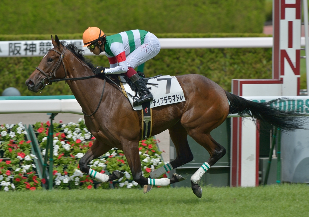 メイクデビュー　ディアデラマドレ　