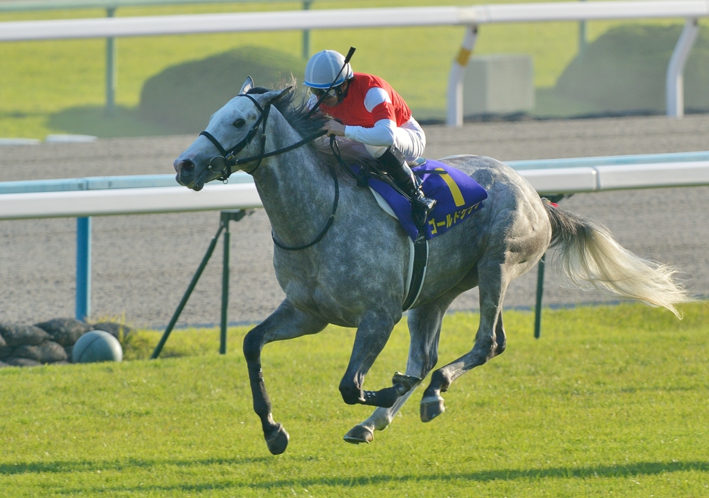 2012　菊花賞　ゴールドシップ