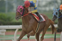 笠松競馬120831①