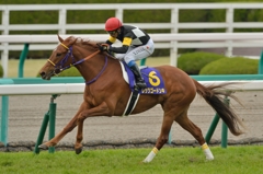 2015 桜花賞 レッツゴードンキ