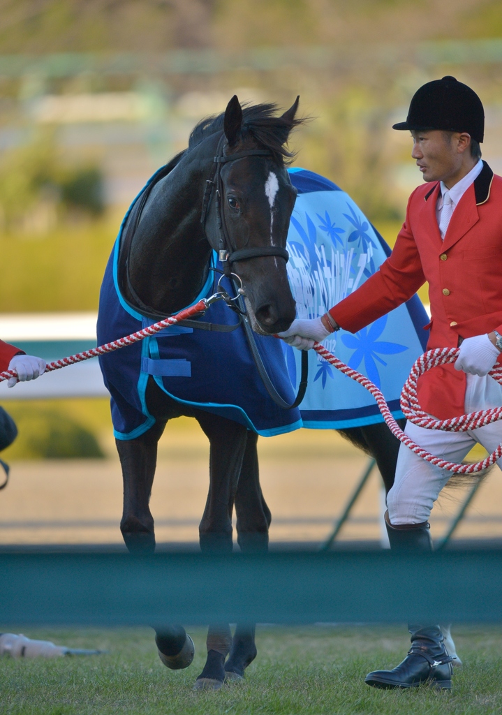 2012 阪神JF ローブティサージュ