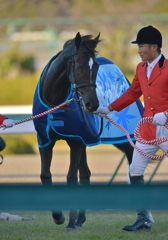 2012 阪神JF ローブティサージュ