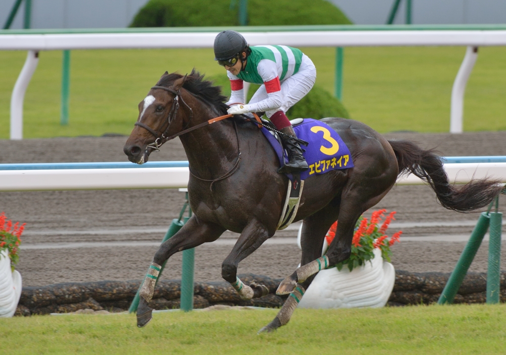 2013　菊花賞　エピファネイア