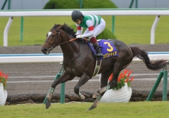 2013　菊花賞　エピファネイア