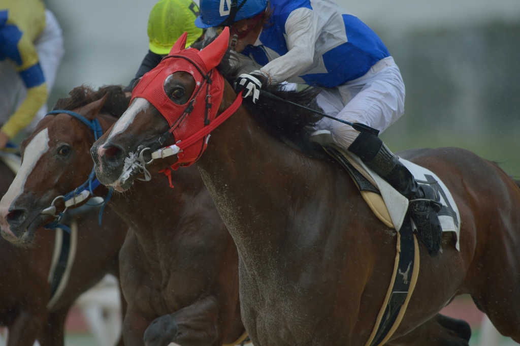 笠松競馬120831④