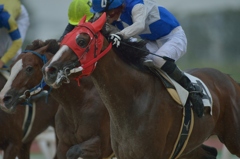 笠松競馬120831④