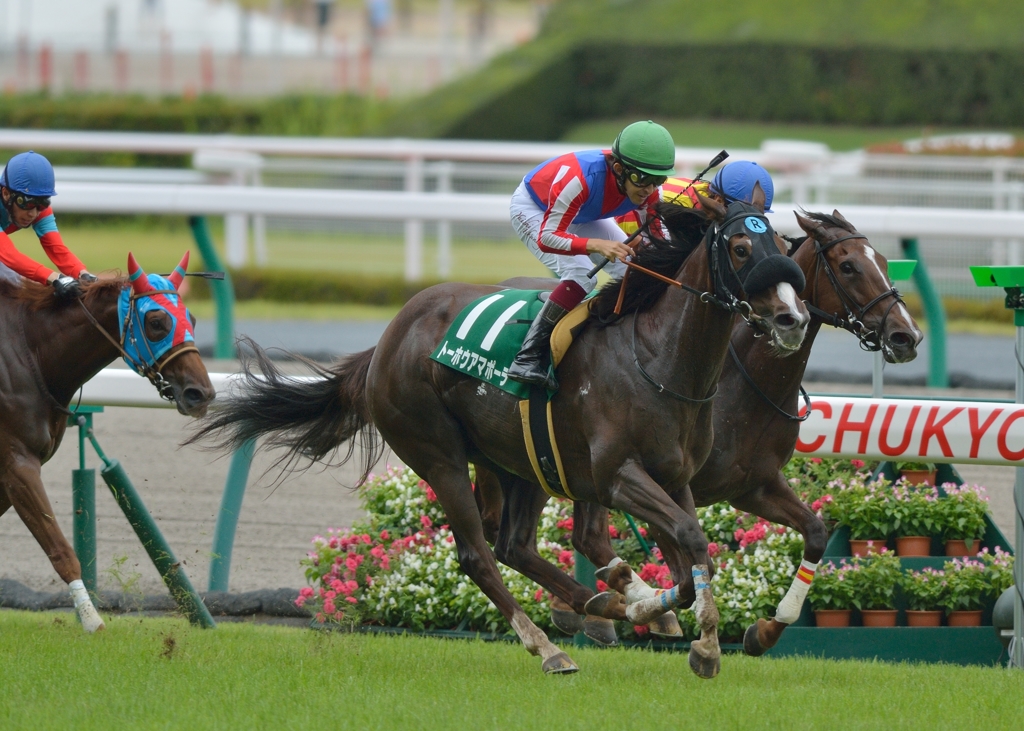 2014　ＣＢＣ賞　トーホウアマポーラ