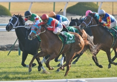 2013　きさらぎ賞　タマモベストプレイ