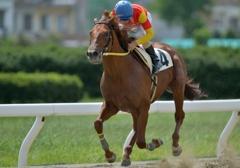 名古屋競馬120903⑦